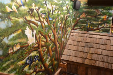 Birds of Many Feathers mural